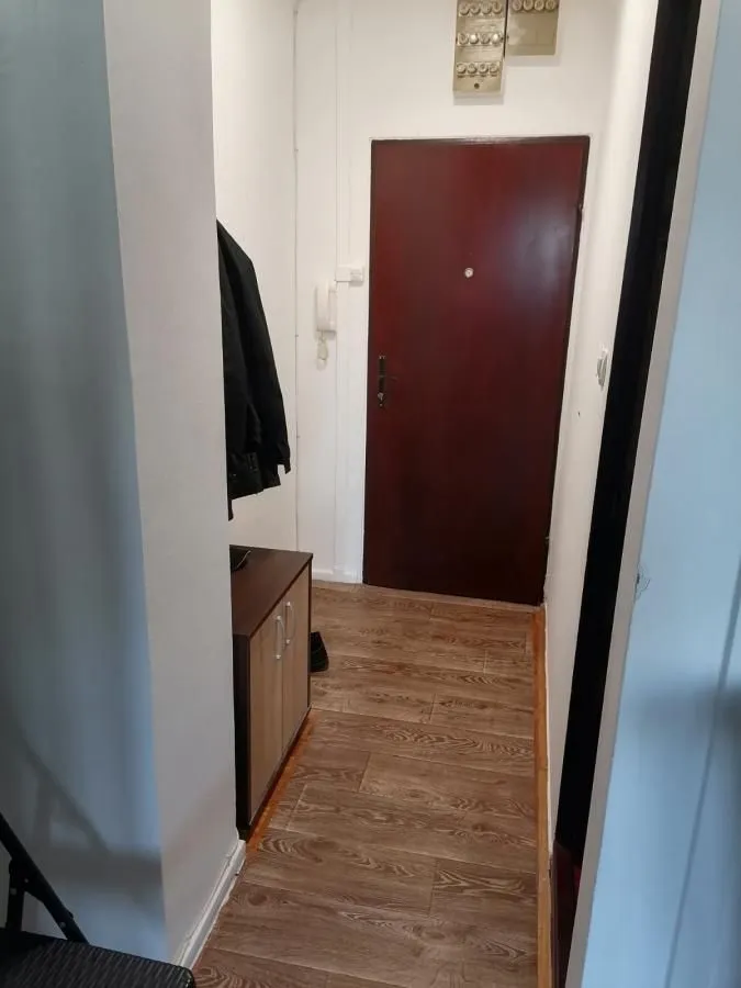 Izdavanje, jednosoban stan, 30m², Sajmište, Novi Sad