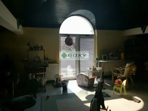 Prodaja, kuća, 391m², Centar, Kragujevac - image 18