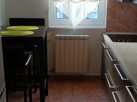 Izdavanje, dvosoban stan, 45m², Zvezdara Sve Podlokacije, Beograd - image 5