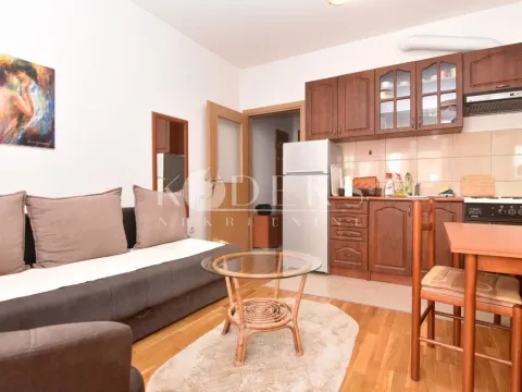 Izdavanje, garsonjera, 25m², Ljubović, Podgorica - image 3