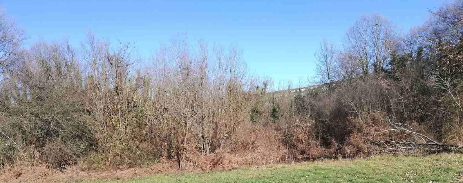 Prodaja, plac, 6100m², Orja Luka, Danilovgrad