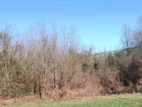 Prodaja, plac, 6100m², Frutak, Danilovgrad - image 5