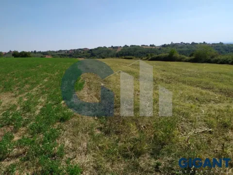 Prodaja, plac, 5000m², Nenadovac, Barajevo - image 8