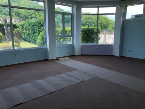 Prodaja, poslovni prostor, 900m², Mareza, Podgorica - image 4