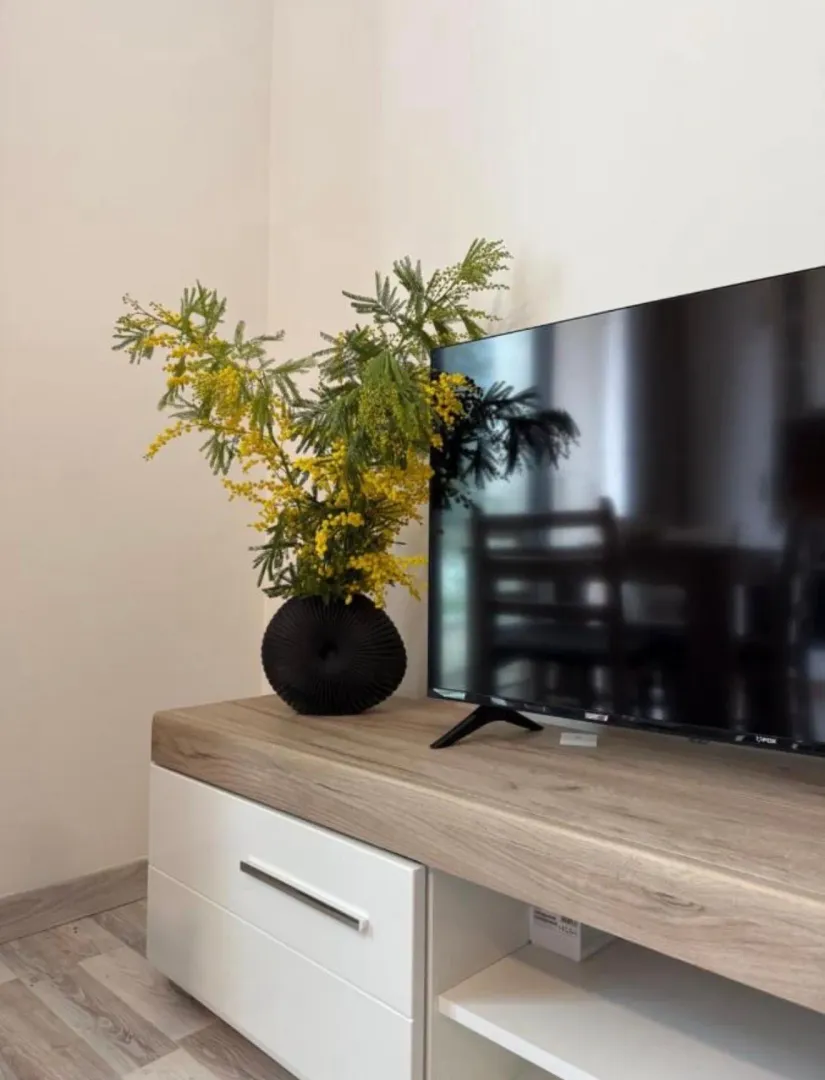 Izdavanje, jednosoban stan, 42m², Centar, Bar