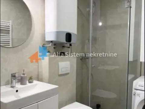 Izdavanje, dvosoban stan, 45m², Novi Beograd Blok 65, Novi Beograd Sve Podlokacije - image 11
