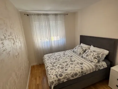 Izdavanje, jednosoban stan, 42m², Pobrežje, Podgorica - image 3