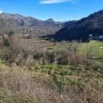 Izdavanje, kuća, 247m², Cetinje, Crna Gora - image 16