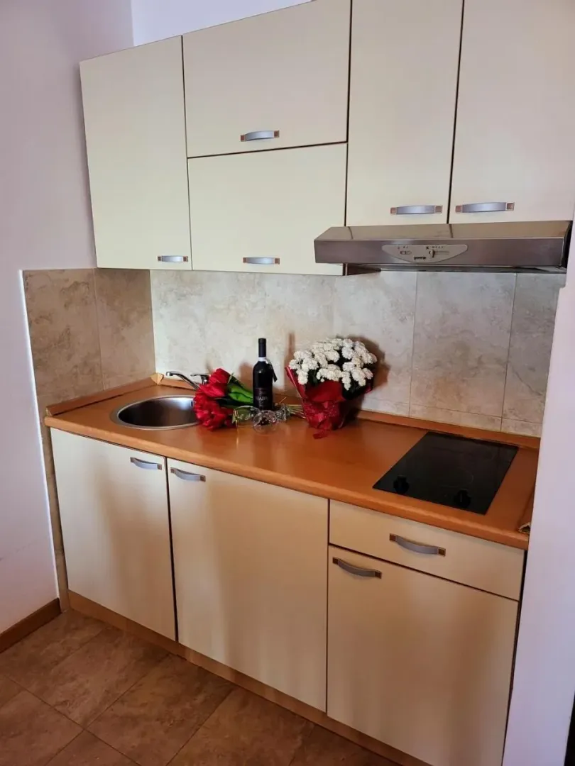 Manja kuhinja sa svijetlim elementima i ugradnom pločom.