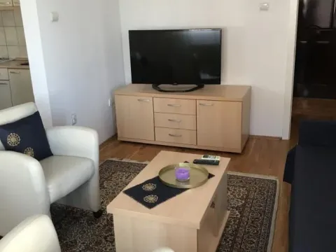 Izdavanje, dvosoban stan, 50m², Centar, Novi Sad - image 4