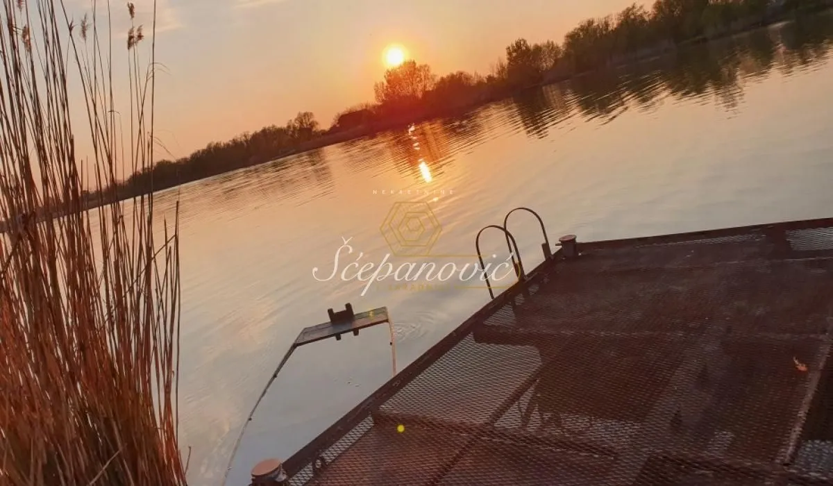 Prodaja, plac, 5298m², Čurug, Žabalj