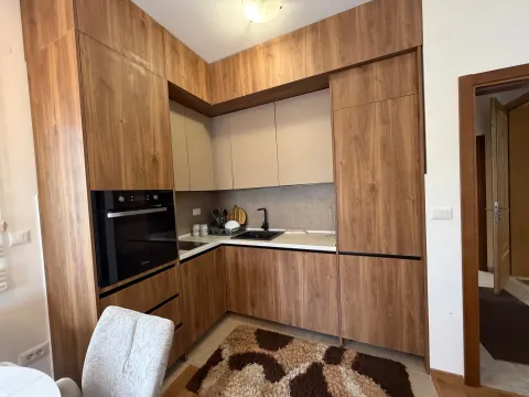 Izdavanje, jednosoban stan, 43m², Vezirov Most, Podgorica - image 6