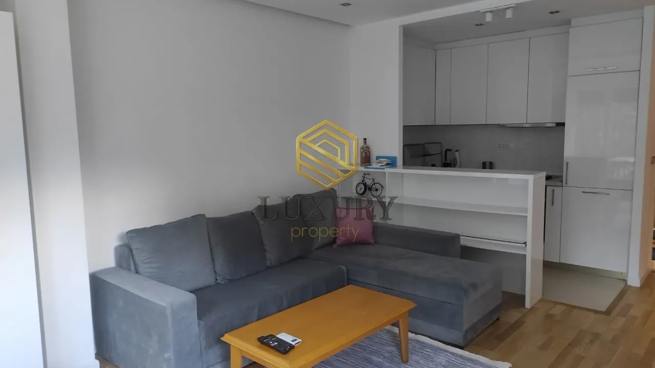 Rent, one bedroom apartment, 42m², Centar, Podgorica