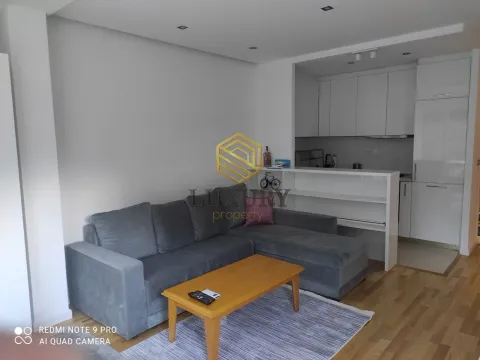 Izdavanje, jednosoban stan, 42m², Centar, Podgorica - image 1