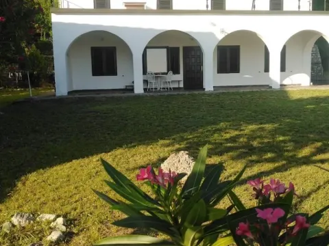 Prodaja, kuća, 489m², Petrovac, Budva - image 4