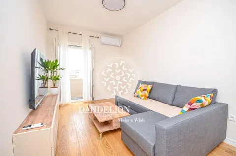 Rent, one bedroom apartment, 59m², Central Point, Podgorica - image 701