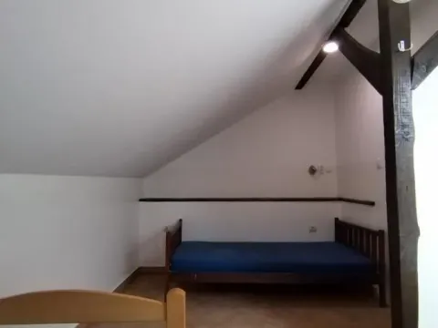 Izdavanje, poslovni prostor, 750m², Telep, Novi Sad Sve Podlokacije - image 18