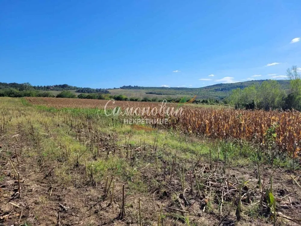 Prodaja, plac, 15000m², Ritopek, Grocka
