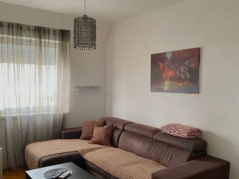 Izdavanje, jednosoban stan, 50m², Zabjelo, Podgorica - image 4