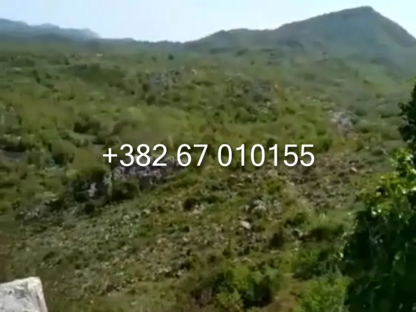 Sale, land lot, 80000m², Štitari, Cetinje