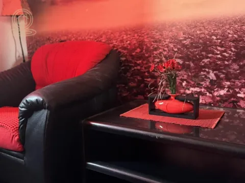 Izdavanje, trosoban stan, 78m², Medijana, Niš - image 6