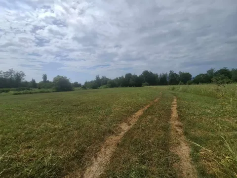 Pogled na prostranu livadu sa zemljanim putem i drvećem u pozadini. - image 3