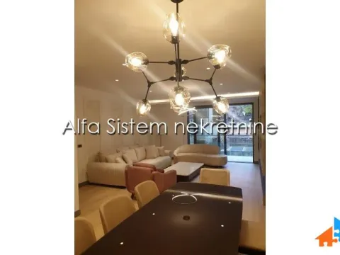 Izdavanje, dvosoban stan, 104m², Vračar Centar, Vračar Sve Podlokacije - image 3