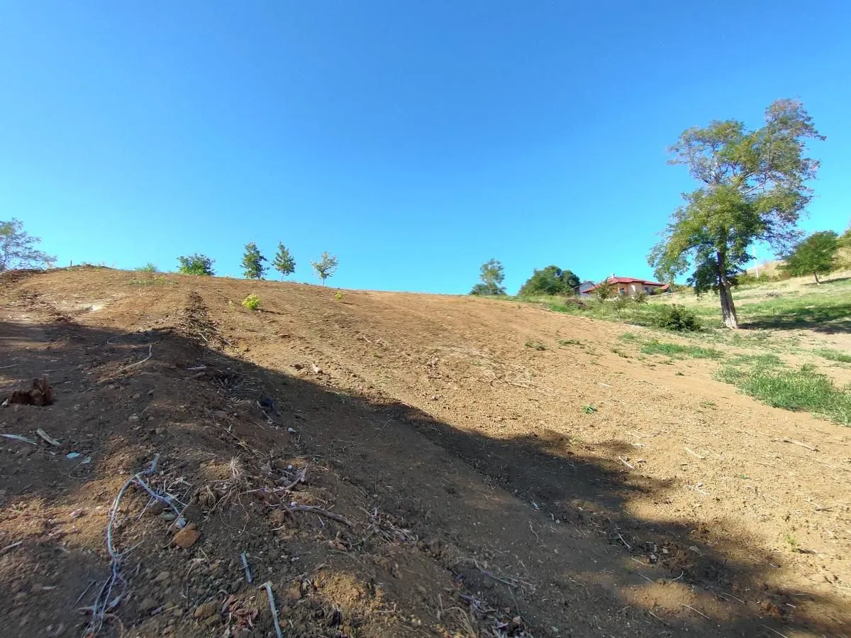 Prodaja, plac, 700m², Sremska Kamenica, Petrovaradin
