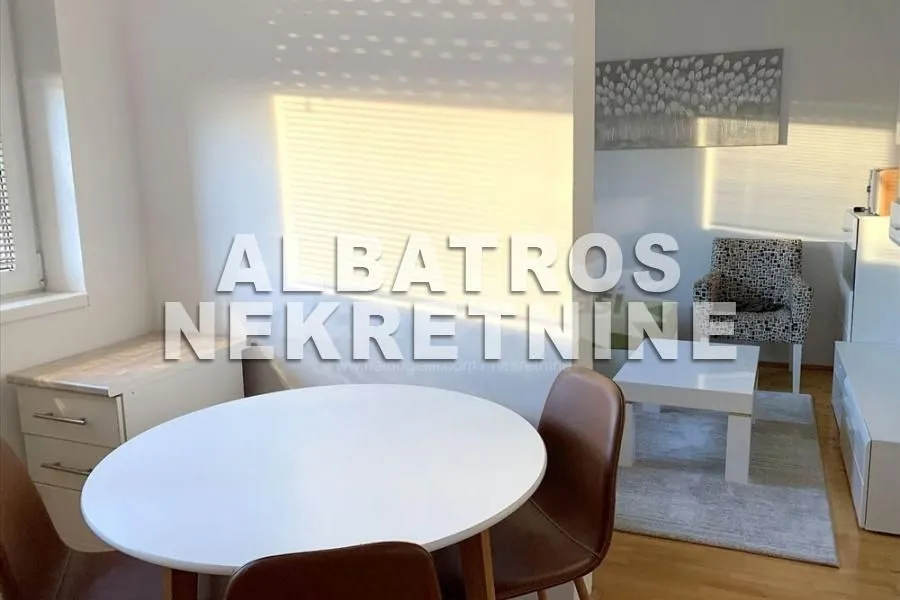 Izdavanje, jednosoban stan, 450m², Vojvode Vlahovica, Beograd