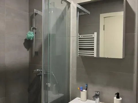 Rent, two bedroom apartment, 40m², Južni Bulevar, Vračar Sve Podlokacije - image 8