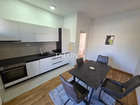 Izdavanje, jednosoban stan, 68m², Centar, Podgorica - image 3