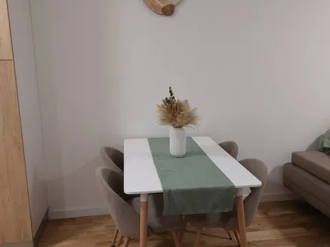 Izdavanje, jednosoban stan, 43m², Zabjelo, Podgorica - image 2