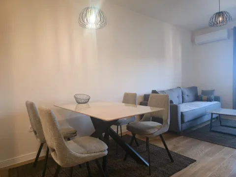 Izdavanje, jednosoban stan, 40m², Central Point, Podgorica - image 4