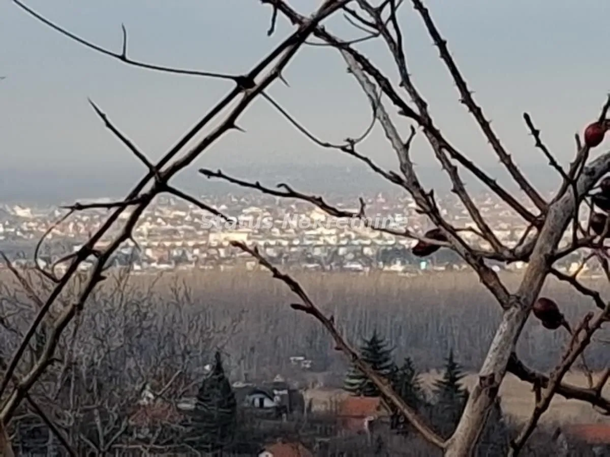 Prodaja, plac, 14994m², Ledinci, Petrovaradin