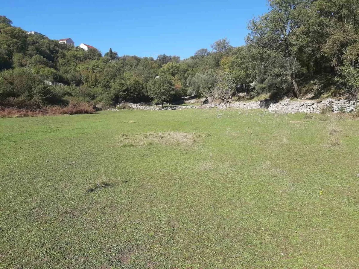 Prodaja, plac, 6200m², Podi, Herceg Novi