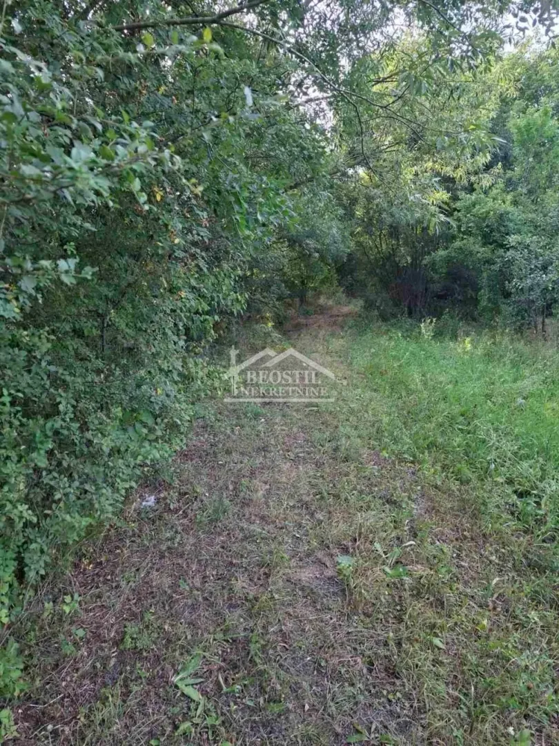Prodaja, plac, 3300m², Vrčin, Grocka