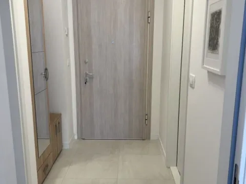 Izdavanje, jednosoban stan, 49m², Central Point, Podgorica - image 5