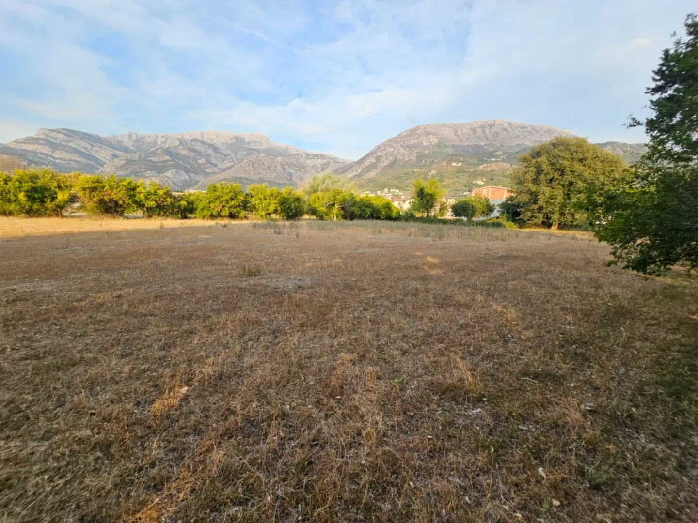 Pogled na ravno zemljište sa drvećem i planinama u pozadini.