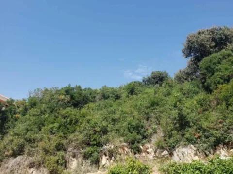 Prodaja, plac, 300m², Dobre Vode, Bar - image 3