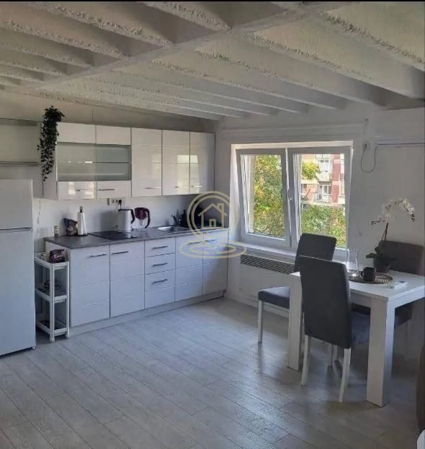 Rent, two bedroom apartment, 44m², Vračar Sve Podlokacije, Beograd