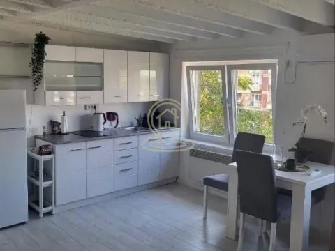 Rent, two bedroom apartment, 44m², Vračar Sve Podlokacije, Beograd - image 3