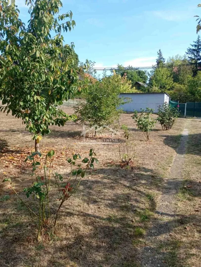 Green yard with trees and an outbuilding in the background.