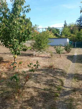 Green yard with trees and an outbuilding in the background. - image 8