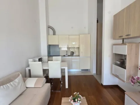 Stan-na-dan, jednosoban stan, 44m², Pržno, Budva - image 3