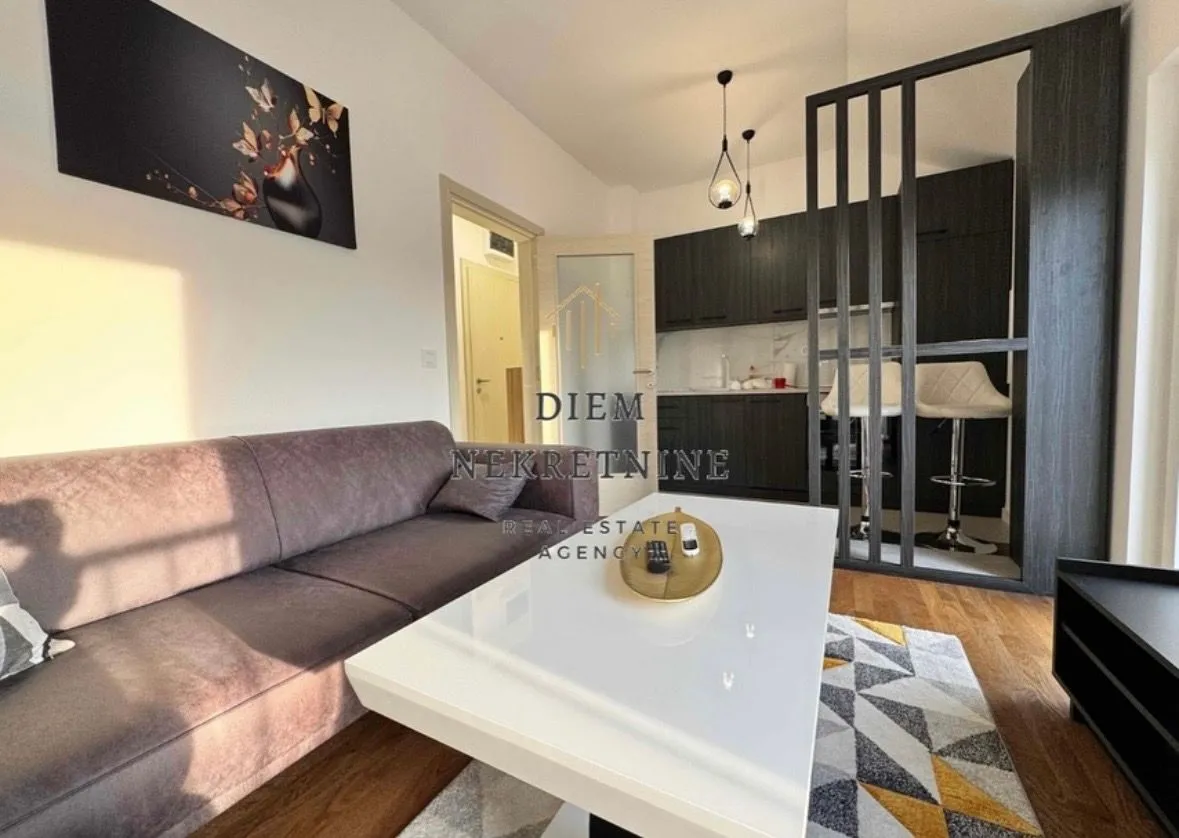 Rent, one bedroom apartment, 50m², Zagorič, Podgorica