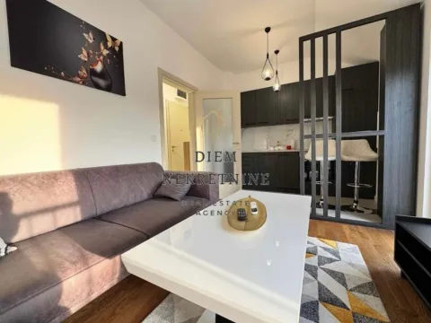 Rent, one bedroom apartment, 50m², Zagorič, Podgorica - image 2