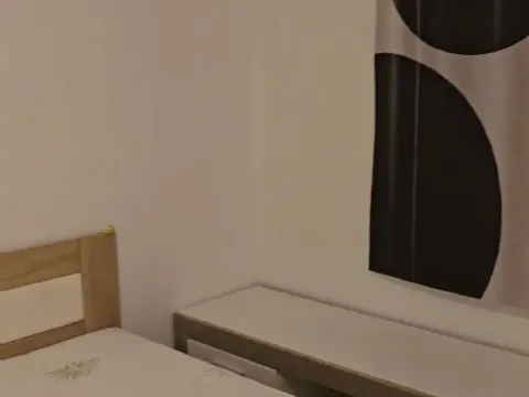 Izdavanje, jednosoban stan, 44m², Stari Aerodrom, Podgorica - image 4