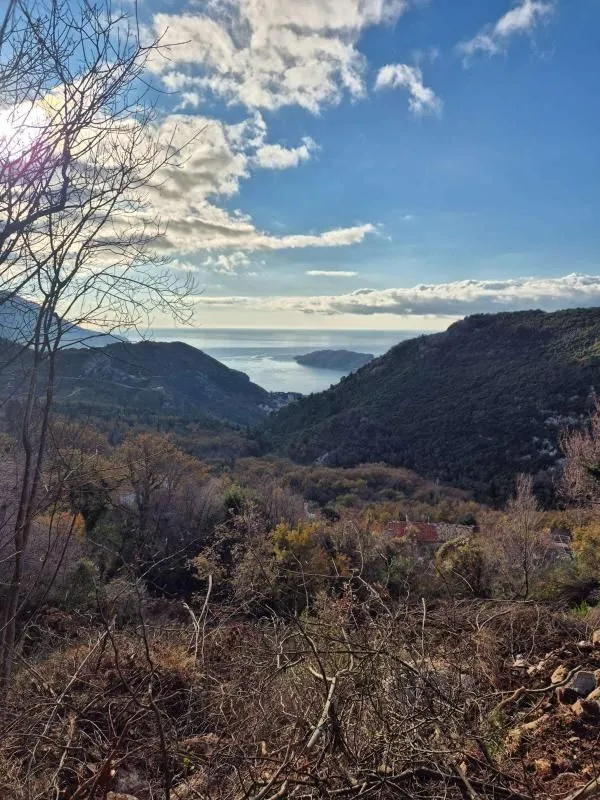 Prodaja, plac, 1557m², Markovići, Budva