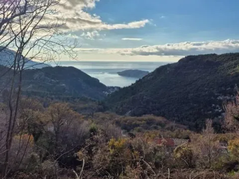 Prodaja, plac, 1557m², Markovići, Budva - image 3