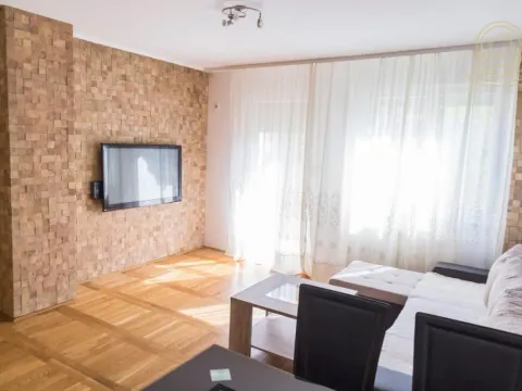 Izdavanje, dvosoban stan, 45m², Nova Detelinara, Novi Sad Sve Podlokacije - image 2